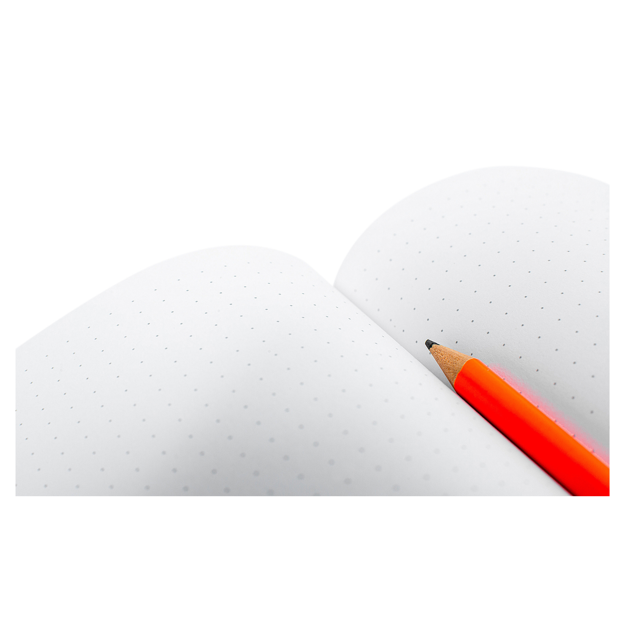 Dotted Paper Love: Dancing with Dots in a World of LinesGet a notebook ...