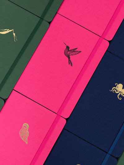 The Notebook: A Journey Through Time